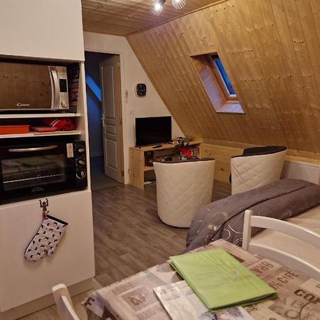 La Maison Des Fleurs Studio Le Mont-Dore Bagian luar foto