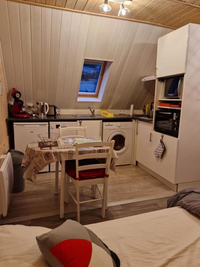 La Maison Des Fleurs Studio Le Mont-Dore Bagian luar foto